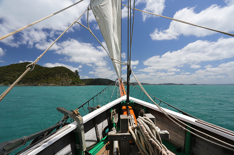 Sail on the R Tucker Thompson, Bay of Islands, NZ